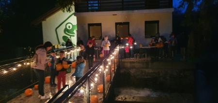 3 Dogajanje okoli Žabje hiše